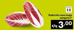 Maxi Family Radicchio rosso lungo offerta