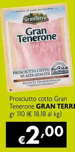 Maxi Family Prosciutto cotto Gran Tenerone Gran Terre offerta