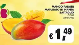 Maxi Coal Mango Palmer offerta