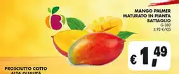 Maxi Coal Mango Palmer offerta