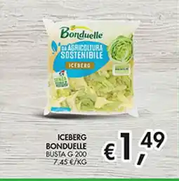 Maxi Coal Iceberg Bonduelle offerta