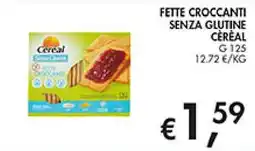 Maxi Coal Cereal fette croccanti senza glutine offerta