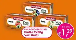 Maxi Coal Plasmon Frutta offerta