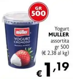 Eurospesa Yogurt cremoso Müller offerta