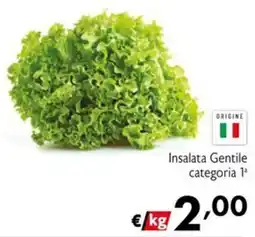 Eurospesa Insalata Gentile categoria 1ª offerta