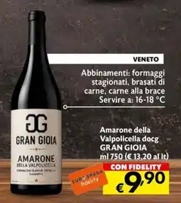 Eurospesa Amarone della Valpolicella docg Gran Gioia offerta