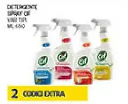 Maxi Coal Detergente spray 500 ml offerta