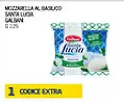 Maxi Coal Mozzarella al basilico SANTA LUCIA offerta