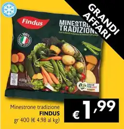 Eurospesa Minestrone tradizione Findus offerta