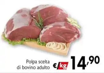 Polpa scelta di bovino adulto