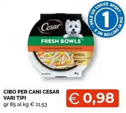 Mercatò Big Cibo per cani Cesar offerta