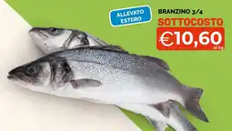 Mercatò Big Branzino 3/4 offerta