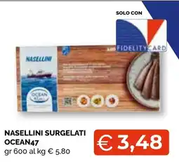 Mercatò Big Nasellini surgelati Ocean47 offerta