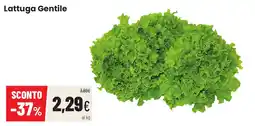 Coop famiglia cooperativa Lattuga Gentile offerta