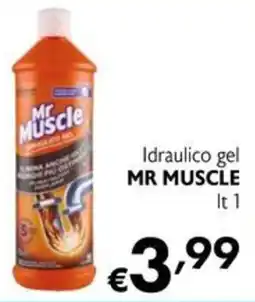 Maxi Supermercati Idraulico gel Mr Muscle offerta