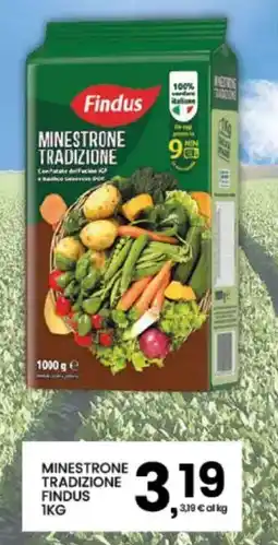 Interspar Minestrone Tradizione Findus offerta
