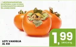 Interspar Loti vaniglia offerta