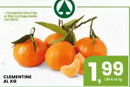 Interspar Clementine offerta