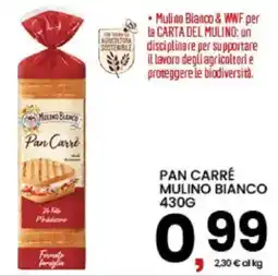 Interspar Pan Carré Mulino Bianco offerta