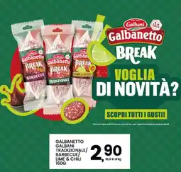 Interspar Galbanetto Break offerta
