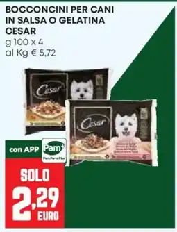 Pam Bocconcini per cani in salsa o gelatina Cesar offerta