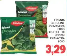 Eté Findus Spinaci Primavera offerta