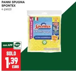 Pam Panni spugna Spontex offerta