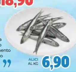 Eté Alici offerta