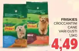 Eté Friskies croccantini cane vari gusti offerta