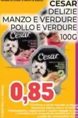 Eté Cesar delizie manzo e verdure pollo e verdure offerta