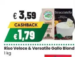 Coop Trentino Riso Veloce & Versatile Gallo Blond offerta