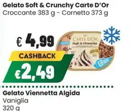 Coop Trentino Gelato Soft & Crunchy Carte D'Or offerta