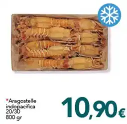 Altasfera Aragostelle indopacifiche offerta