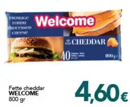 Altasfera Fette cheddar WELCOME offerta