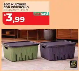 Coop Master Alleanza 3.0 Box multiuso con coperchio offerta