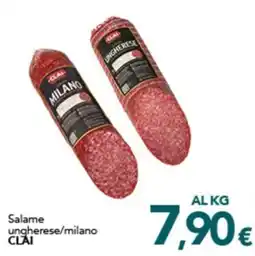 Altasfera Salame ungherese/milano CLAI offerta