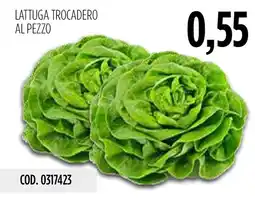 Carico Cash & Carry Lattuga Trocadero al pezzo offerta