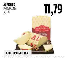 Carico Cash & Carry Auricchio provolone offerta