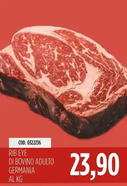 Carico Cash & Carry Rib Eye di bovino adulto offerta
