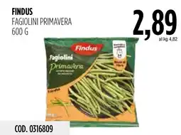 Carico Cash & Carry Findus Fagiolini Primavera offerta