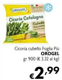 Maxi Supermercati Cicoria cubello Foglia Più OROGEL offerta