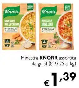 Maxi Supermercati Minestra KNORR assortita offerta