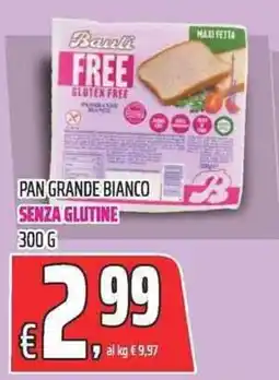 Coop Pani Free Pan Grande Bianco Senza Glutine offerta