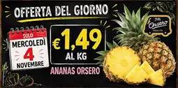 Maxi Coal Ananas Orsero offerta