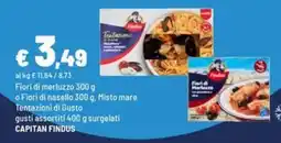 Iper La Grande Tentazioni di Gusto CAPITAN FINDUS offerta