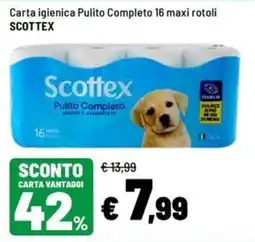 Iper La Grande Carta igienica Pulito Completo Scottex offerta