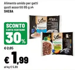Iper La Grande Alimento umido per gatti Sheba offerta