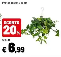 Iper La Grande Photos basket offerta