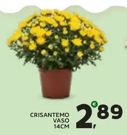 Extra Supermercati Crisantemo offerta