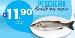 Extra Supermercati Spigola offerta
